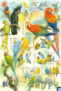 Czech Republic Stamps - Animal Breeding: Parrots