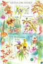 Czech Republic Stamps - Beauty of Orchids Flowers