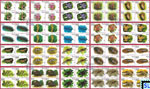 2020 Sri Lanka Stamps  - Wild Species Threatened by Trade