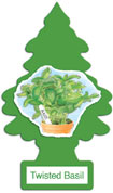 Little Trees Air Fresheners Twisted Basil