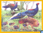 Taiwan Stamps - Swinhoes Pheasant